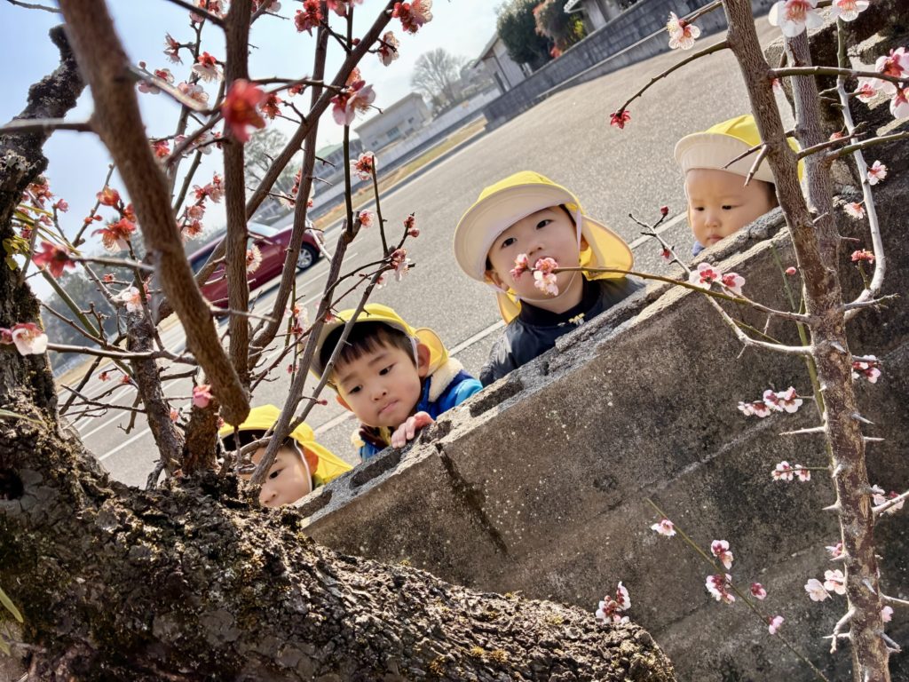 京都郡　みやこ町　犀川　わくわくの幼稚園　のびのびhttps://waku2noki.com/7629/幼https://waku2noki.com/7232/稚園　幼稚園　保育園　認定こども園　子ども　保育　弁当　ママ弁当　遠足　年長　年中　年少　未満　クリスマス福岡県　みやこ町保育園　行橋市幼稚園　クリスマス制作　お散歩　作品展　ボール遊び　体操教室　指スタンプ製作　給食参観　時の記念日製作　年長製作　あそびワーク　あそび　道具箱整理福岡県　よちよち広場　言葉遊びかるた遊び　表現遊び　外遊び　お花見　個人制作　マット遊び　体育遊び　ブロック遊び　滑り台　砂場　絵パズル　みのむし　クリスマス制作　お散歩　
七夕飾り　絵の具　紙粘土続き　3学期
新聞遊び　ままごと　いす取りゲーム